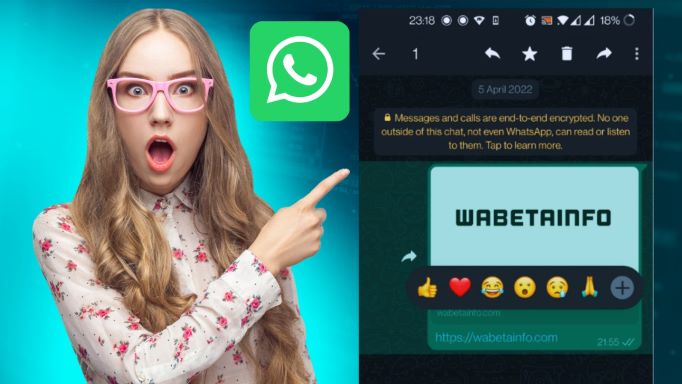 WhatsApp New Update Feature