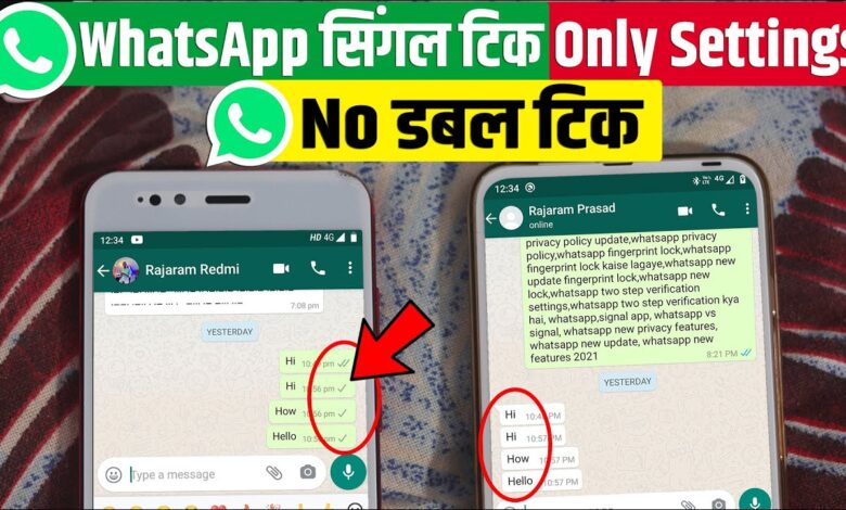 WhatsApp single tick but online in Hindi