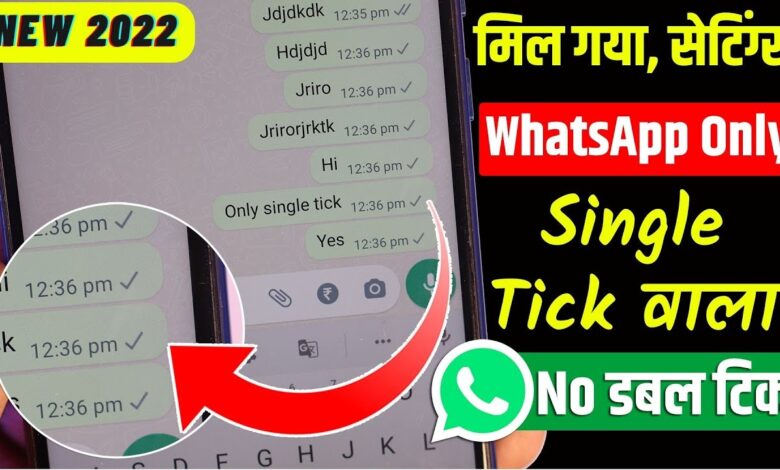 WhatsApp Single Tick But Online