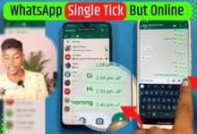 WhatsApp Single Tick But Online