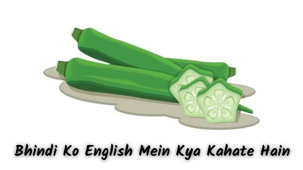Bhindi Ko English Mein Kya Kahate Hain