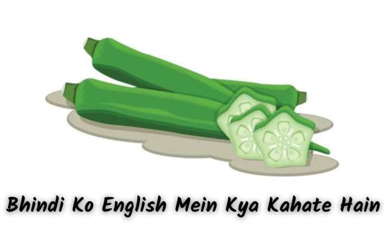 Bhindi Ko English Mein Kya Kahate Hain